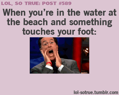 the-absolute-funniest-posts:  Follow this blog, you will love it on your dashboard