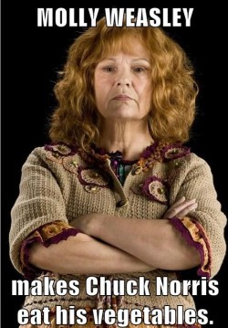 livelaughlovetoread:  Don’t Mess with Mama Weasley 