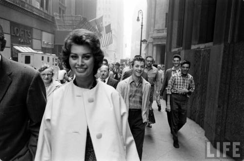 Sophia Loren (Peter Stackpole. 1958)