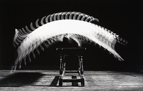 the-absolute-best-posts:  alecshao: Harold Edgerton- The Anatomy of Movement 1. Cat Jumping Over a Piano Bench, 1938 2. Gus Solomons, 1960 3. Indian Club Demonstration, 1965 4. Back Dive, 1954 5. The Tennis Player, 1938 6. Baton, 1953 7. The Golfer,