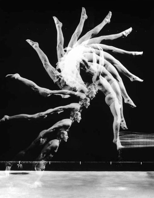 the-absolute-best-posts:  alecshao: Harold Edgerton- The Anatomy of Movement 1. Cat Jumping Over a Piano Bench, 1938 2. Gus Solomons, 1960 3. Indian Club Demonstration, 1965 4. Back Dive, 1954 5. The Tennis Player, 1938 6. Baton, 1953 7. The Golfer,