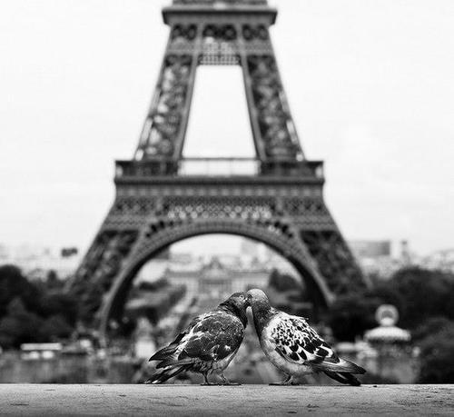 XXX redjanet:  Paris Love. photo