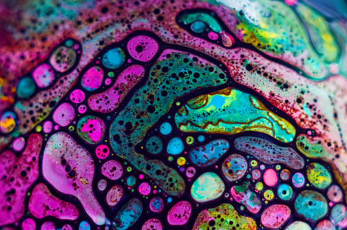 Photojojo ♥'s Tumblr