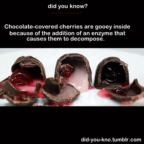 did-you-kno:  Source