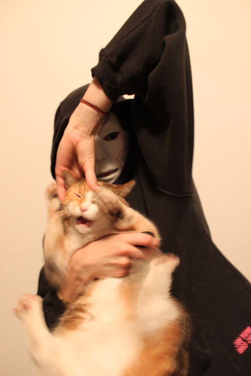 korrafeels:space-cops:kaninchenchen:Potentially the best Amon cosplayer I’ve ever seenTHE CATXD