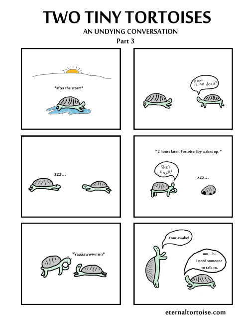 TWO TINY TORTOISES: AN UNDYING CONVERSATION