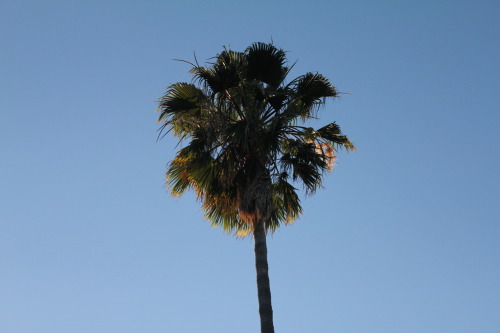 little-maui: my photo (: please don’t change the source or delete this text! x
