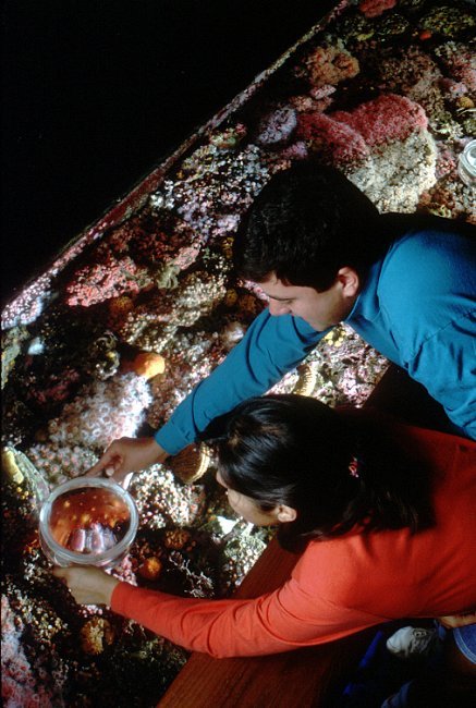 montereybayaquarium:  Midnight Rambler It was 3 a.m. on June 25, and Security Officer Clara Nilsen w
