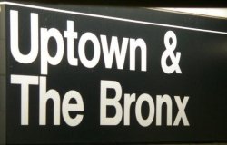 radioraheemrose:  Boogie Down Bronx born and raised