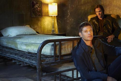 cw-supernatural: Here is the greatest news that you will receive today. Supernatural will return for