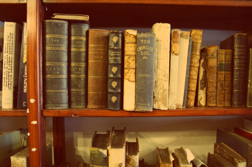 ravenclawcabinsevencareer:  A book shop in Liverpool that I visited today. I’m in love.