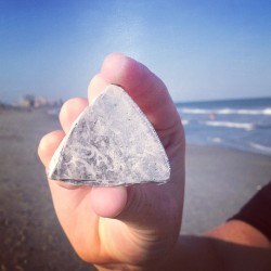 #shell #triangle #vacation #beach  (Taken