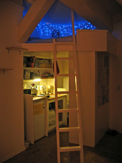 presumptuou-s:  boys-dont-understand:  want  this would be great, except climbing up into it when drunk..  you’d end up concussed or something 