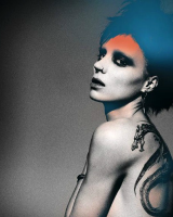 fucking-bruges:  fucking-bruges:      the girl with the dragon tattoo » promotional