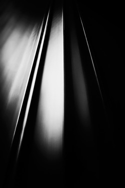 fiore-rosso:  lucian olteanu | lines in motion.