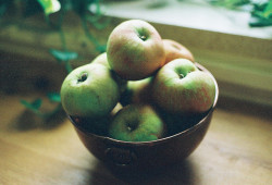 palides:  Bramley Apples. by leedav on Flickr.