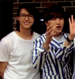 orange-sandeul:  Duck Raising is truly hard 