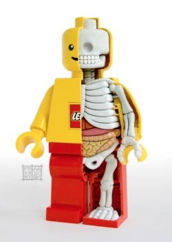 Lego Man Anatomy