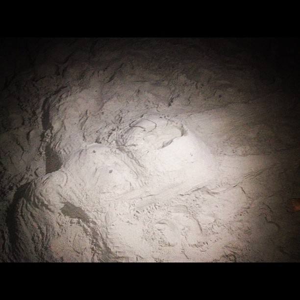 Her nip nips are showing&hellip;not okay #sand #beach #night (Taken with Instagram)