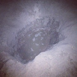 Hole we dug at 1:30 am, it filled up with