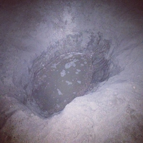 Hole we dug at 1:30 am, it filled up with water (Taken with Instagram)