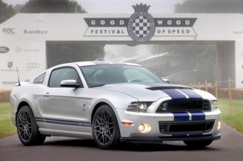 fuckyeahmustang:  2013 Shelby GT500 to participate adult photos