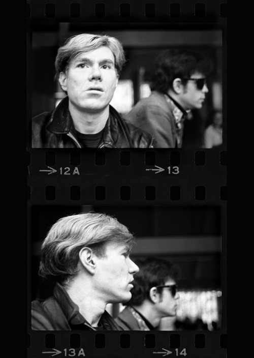 carangi:  Andy Warhol