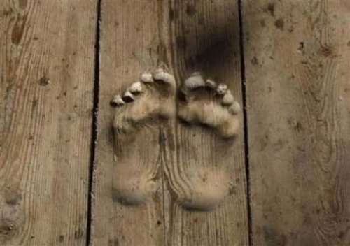 stawh:   70 year-old Buddhist monk Hua Chi has been praying in the same spot at his temple in Tongren, China for over 20 years. His footprints, which are up to 1.2 inches deep in some areas, are the result of performing his prayers up to 3000 times a