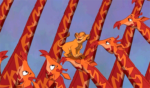 spontaneity-is-key:  casually crowd surfing on some giraffes