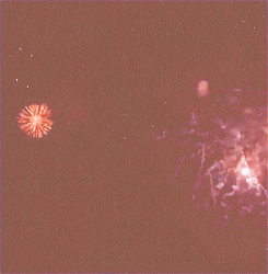 starkniall:  It’s gotta be you, only you. 