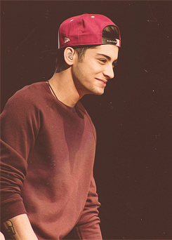 styles. horan. payne. malik. tomlinson.