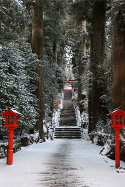 j-p-g:  All sizes | hakone#7 箱根神社