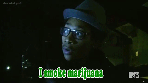 Into A Stoner's Mind!