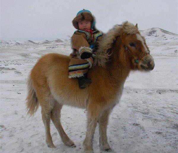 gravitywinsagain:  minimongol:  badass as usuall  I made an undiginified squeaking