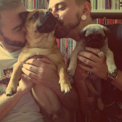 deathanddumb:  SURPRISE! Daa daaah! We’ve have a baby! Meet Gilbert our 8 week old Pug. We picked him up yesterday and he is a fucking DUDE! This is the family portrait, yes that’s Tim! Faggots and their dogs, man! Thank fuck I ain’t got a womb