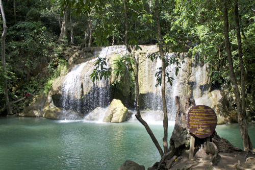 theadventurechild: Jungle/tropical blog