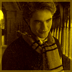 The Magic Begins: 05. Your House » Hufflepuff