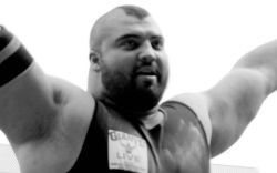 justbulls:  Strongman Bull