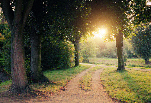 Sweet Escape