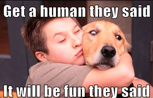 thefunniestpost:  Hysterical Blog! 