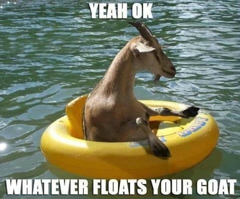 the-absolute-funniest-posts:  Follow this blog, you will love it on your dashboard