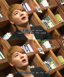 keepyourfishdown:  Arguably, the best thing Junsu has ever said  