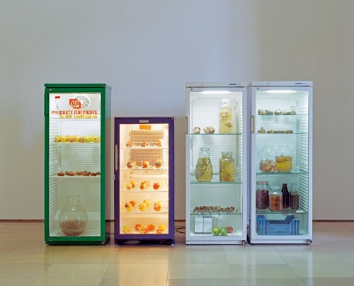 Daniel Bräg 4 Kühlschränke 2005Kühlschränke, Obst, Saft, Blüten, Gelatine, Gläserca. 160 x 250 x 60 