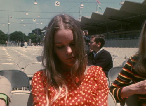 poupeesolitaire:Michelle Phillips, Monterrey Pop Festival 1967