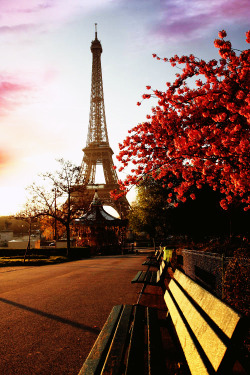 …meet you in Paris