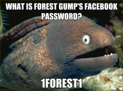 thedailymeme:  Bad Joke Eel