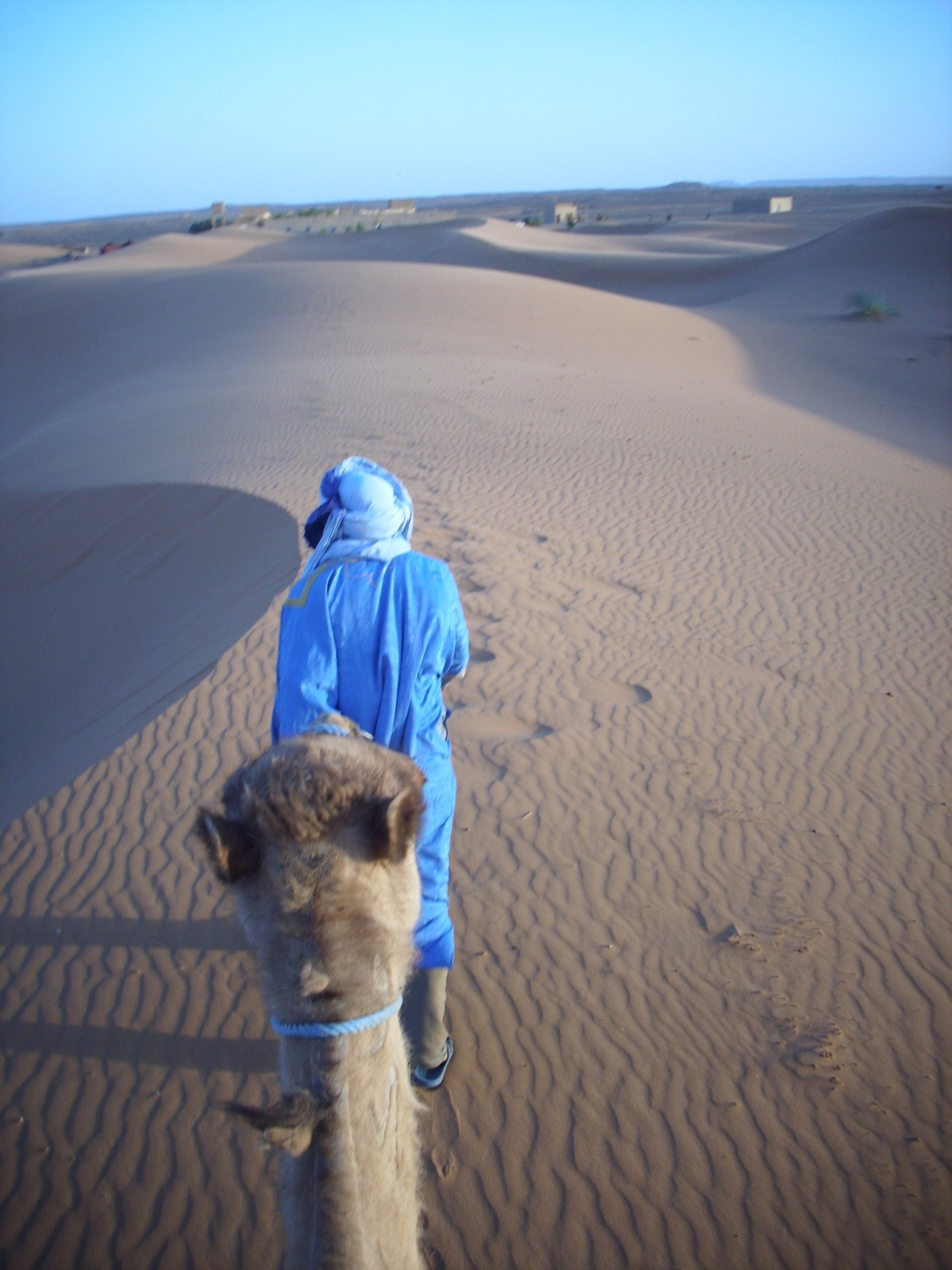 Camel in the desert in Morocco, being led by a Berber guide pretending to be a Tuareg (Tuaregs are not from Morocco but everyone apparently thinks they are so the locals dress like them (sort of) to get more tourist dollars)