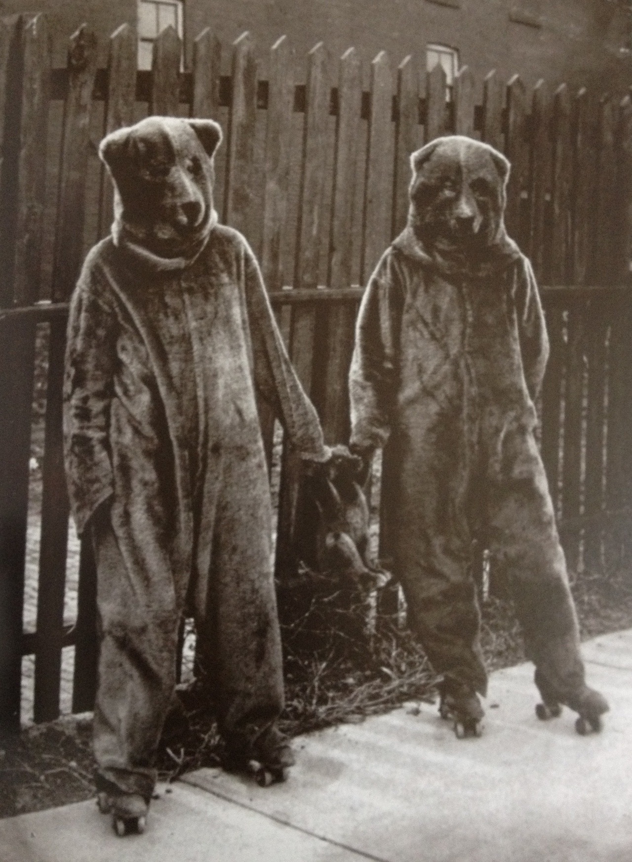 weirdvintage:  Bears on roller skates with teddy bear, date unknown. (From the delightful