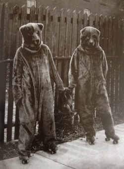 weirdvintage:  Bears on roller skates with