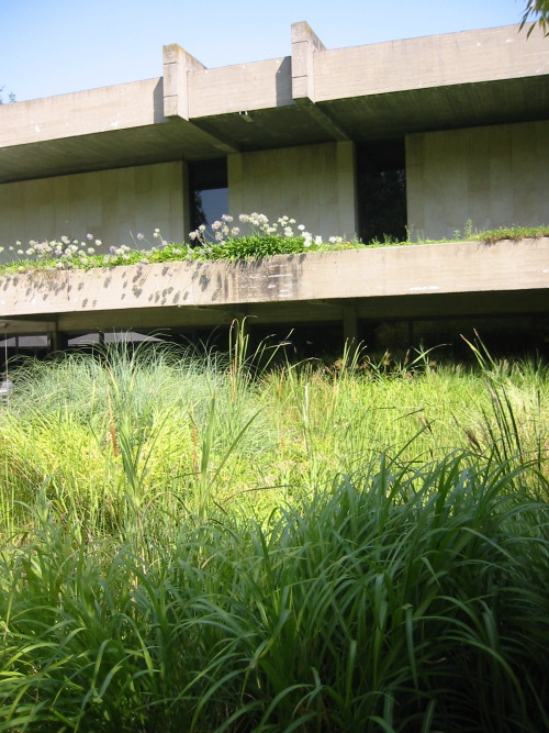 Museu Calouste Gulbenkian, Lisbon, 2008